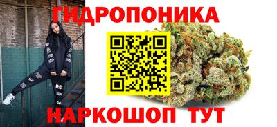 эйфоретик Шахты