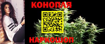 гидра Шебекино