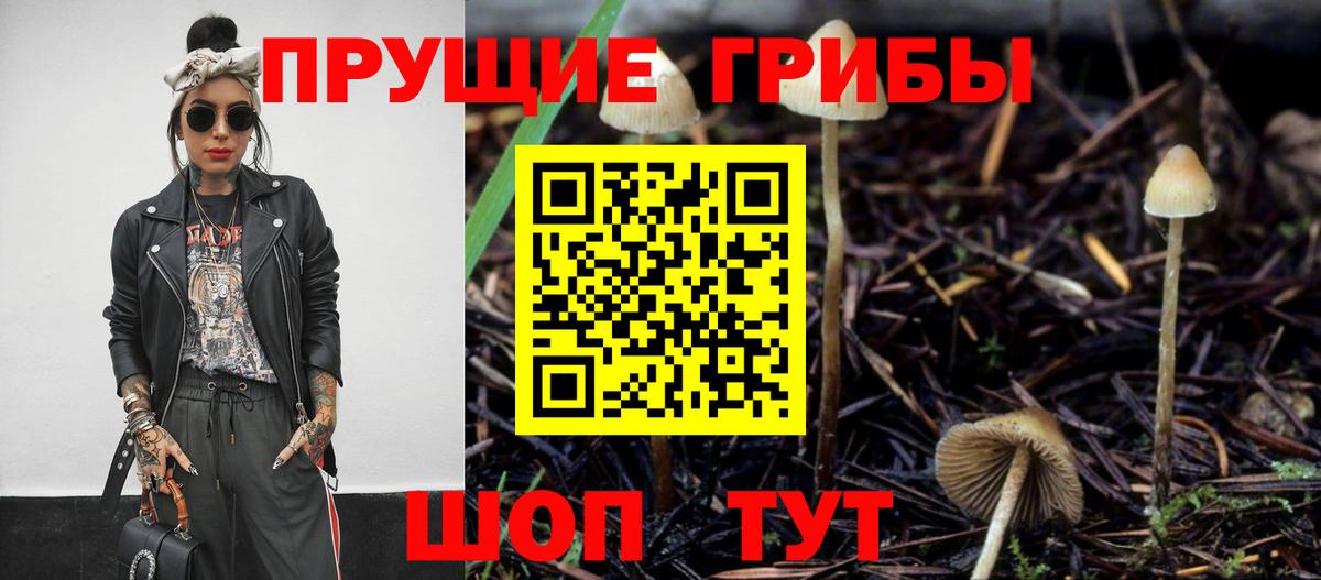 Псилоцибиновые грибы Psilocybe  Бахчисарай 