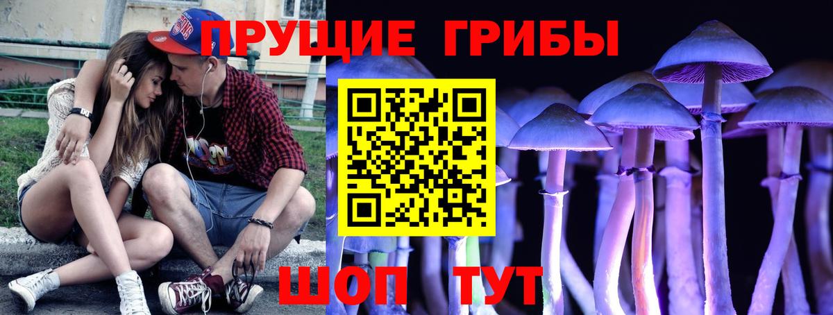 Галлюциногенные грибы Psilocybe  Вход с VPN  Бахчисарай 